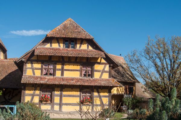 Maison alsacienne_Image générique d'illustration